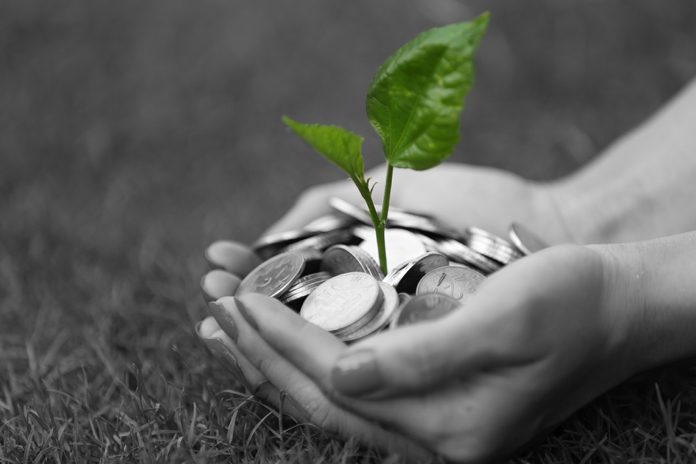 woman holding change with plant